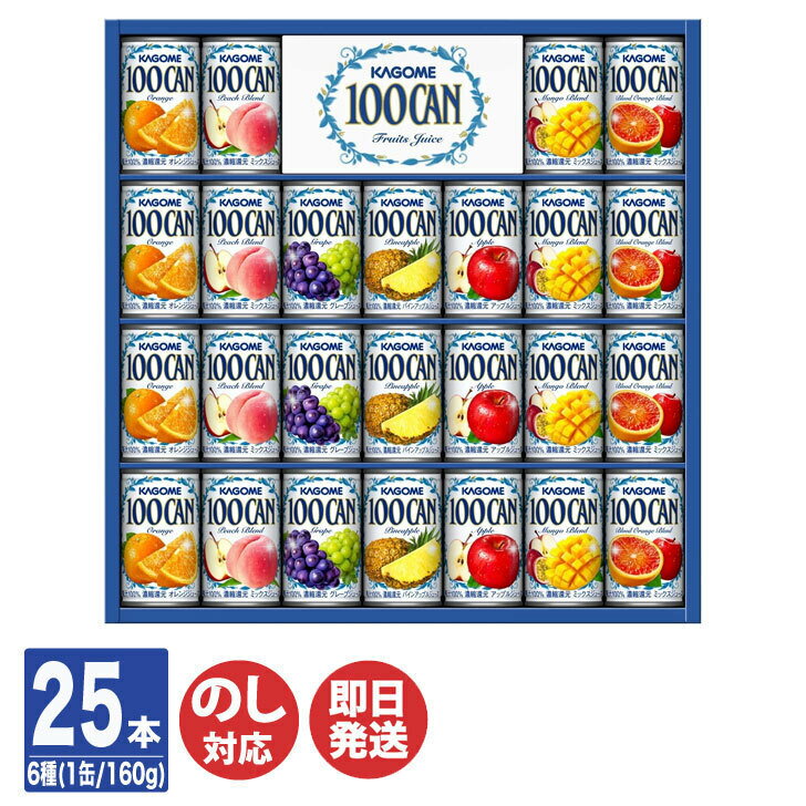 カゴメ　フルーツジュース ギフト ( FB-30S ) 25本入