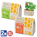 【P10倍 4/30 5/1限定】聖新陶芸 エコエッグシェル 栽培セット 2種あり(ミニトマト/バジル ミニトマト/ミニキャロット )【栽培キット 野菜 観葉植...