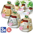 【P10倍 4/30 5/1限定】聖新陶芸 Peropon cats (ペロポンキャッツ) 3種あり(サバトラ 茶トラ ミケネコ )【栽培キット ハーブ 観葉植...