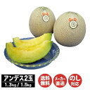 【申込7/20まで お届け7月中旬〜7月下旬】山形県産 庄内白肉アンデスメロン2玉 【1.3kg×2(SA-40) / 1.5kg×2(SA-50)】【山形 メ...
