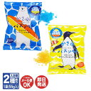 かき氷バスソルト 冷感ストロング / 冷感マイルド (1袋55g入) 2種あり 【チャーリー 入浴剤 ミント メンソール プチギフト 退職 送別会 ギフト プレ...