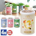 【P10倍 4/30 5/1限定】聖新陶芸 育てる フレーバーハーブ 4種あり【栽培キット 家庭菜園 屋内 ハーブ 観葉植物 プチギフト 退職 送別会 卒業 ギ...