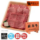 【P5倍 7/10限定】飛騨牛 肩ロース 焼き肉・BBQ用 500g【HKLY8-500C】【岐阜 飛騨 養老ミート 焼肉 BBQ バーベキュー 飛騨牛 ブラン...