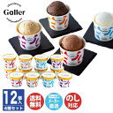 【P5倍 7/15限定】【申込期限 2025/8/2まで】ガレープレミアム アイスクリーム 12個セット (GLN-12)【アイスクリーム スイーツ 御中元 内祝 結婚祝 出産祝 御祝 ギフト 挨拶 お礼 t手土産 誕生日 父の日 暑中見舞 お取り寄せ】75015(AD2342)
