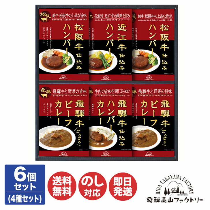 カレー 松阪牛 近江牛 飛騨牛仕込み ハンバーグとカレー詰合せ 【HBK-40 】【飛騨 高山 飛騨牛 近江牛 カレー 惣菜 レトルト ハンバーグ ご当地 ギフト 御歳暮 お歳暮 御中元 お中元 内祝い お年賀 お取り寄せ 母の日 父の日 敬老の日】