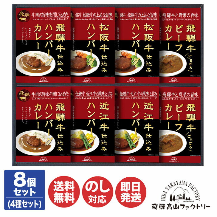 松阪牛 近江牛 飛騨牛仕込み ハンバーグとカレー詰合せ 【HBK-50 】【飛騨 高山 飛騨牛 近江牛 カレー 惣菜 レトルト ハンバーグ ご当地 ギフト 御歳暮 お歳暮 御中元 お中元 内祝い お年賀 お取り寄せ 母の日 父の日 敬老の日】