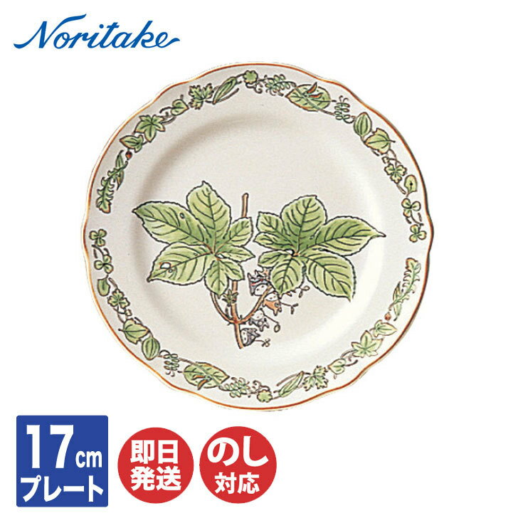 Υ꥿ TOTORO ȤʤΥȥȥ ܡ㥤17cmץ졼 TT97812/4924-5ڻ   ץ졼 ǥȻ 껮 Noritake ֥  л 뺧 뺧   ʪ ۽ ۽ ƫ  ƫ 