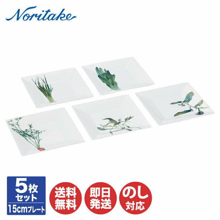 Υ꥿ ܺ 15cmץ졼ȡʳѤ51620-15T/F10194   ͳ ѷ 껮 ѻ å Noritake ֤ ե  л 뺧 뺧   ʪ ۽ ۽ ƫ  ƫ 