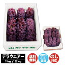 【申込7/20まで お届け7月下旬~8月上旬】山形産 デラウエアー1kg(DR-30G) / 2kg (DR-50G)【山形 ぶどう 葡萄 種無し デラウェア フルーツ 産直 グルメ ご当地 ギフト 贈り物 御中元 お中元 内祝 御祝 父の日 お取り寄せ】(AN8003)