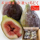 石川県産・冷凍いちじく（イチジク）2kg【送料無料】[美食サークル]