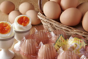 こだわり家族のこだわり卵（60個入り）[美食サークル]