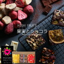 「ホシフルーツ(HOSHI FRUITS)」果実とショコラ[送料無料][内祝い・出産内祝い・結婚内祝い・快気祝い お返し ギフトにも！][美食サークル]