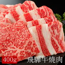 飛騨牛焼肉 [400g]［送