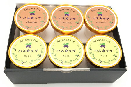 ハスカップアイスセット（ミルク120mlx3・チョコ120mlx3）［送料無料］【内祝い・出産内祝い・結婚内祝い・快気祝い お返し にも！】[美食サークル]