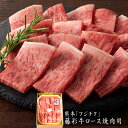 熊本「フジチク」藤彩牛ロース焼肉用［送料無料］[内祝い・出産内祝い・結婚内祝い・快気祝い お返し ギフトにも！][美食サークル]