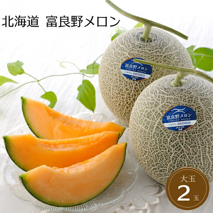 北海道 富良野メロン大玉2玉［送料無料］[内祝い・出産内祝い・結婚内祝い・快気祝い お返し ギフトにも！][美食サークル]