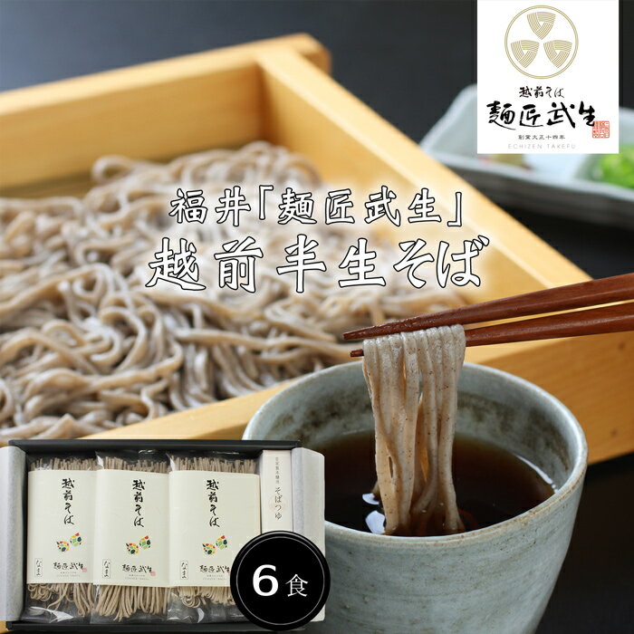 福井「麺匠武生」越前半生そば 6食［送料無料］[内祝い・出産