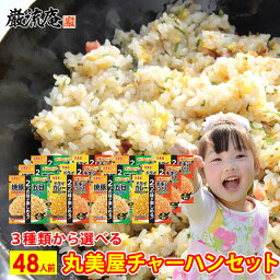 チャーハンの素 丸美屋 チャーハン 炒飯 焼豚 五目 ドライカレー チキンライス の素 48人前 中華 セット 送料無料 備蓄食料 業務用 大容量 ポイント消化 おすすめ品 big