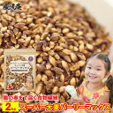 「 カズレーザーと学ぶ 」で紹介! スーパー大麦 バーリーマックス 2kg 食物繊維 レジスタントスターチ ハイレジ 大麦 もち麦 玄麦 腸活 雑穀 はと麦 オーツ麦 玄米 よりおすすめ 糖質カット big
