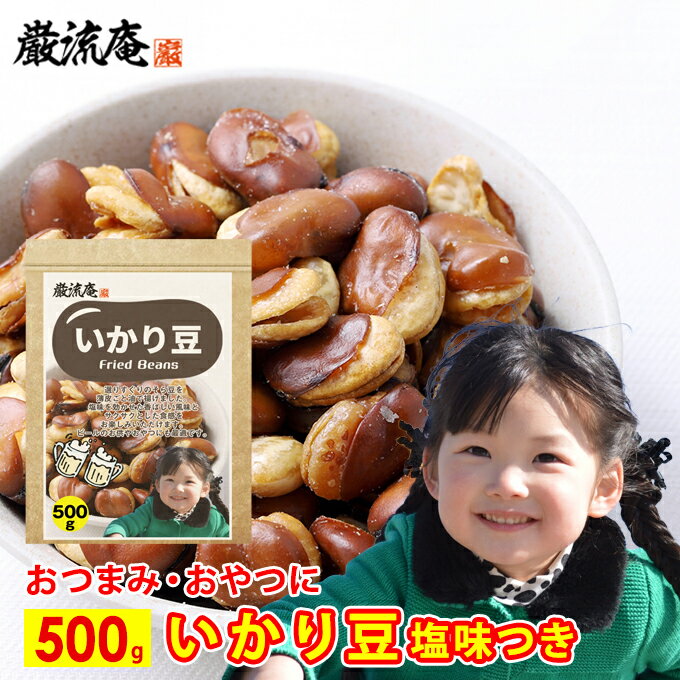 いかり豆 500g 送料無料 フライドビンズ ソラマメ そら豆 空豆 豆菓子 フライビーンズ 揚げそら豆 お徳用 業務用 おやつ ビール お酒 によくあう おつまみ 国内加工 ポイント消化