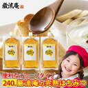 はちみつ 蜂蜜 ハチミツ 健康 チューブタイプ エコパック 80g 3個 セット 純粋はちみつ 完熟はちみつ 送料無料 お買い得