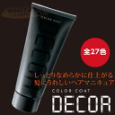 ヘアマニキュア イリヤ カラーコートデコレ 160g 全27色 【IRIYA COLOR COAT DECOR】【カラーデコレ 業務用　プロ用　サロン専売 ヘアカラー】