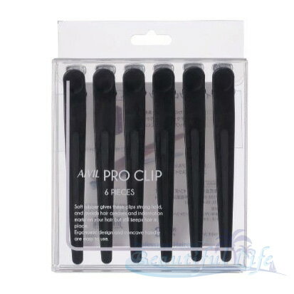 ӥ ץå 6ꡡ֥å ץ  AIVILإå