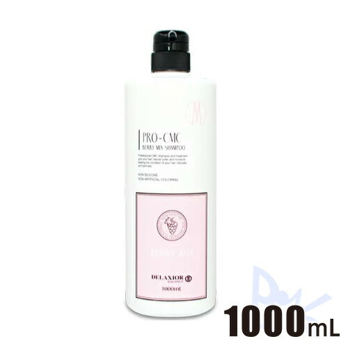 Deraccio Pro CMC 샴푸 베리 믹스 1000mL 펌프 유형 치요다 화학 (달콤하고 진한 과일 꽃의 향기)
