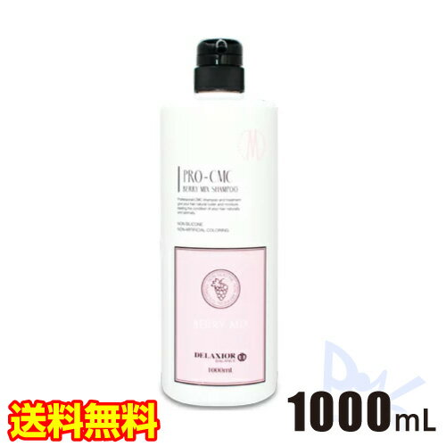 Rakuten - 送料無料 デラクシオプロ CMC シャンプー ベリーミックス 1000mL ポンプタイプ