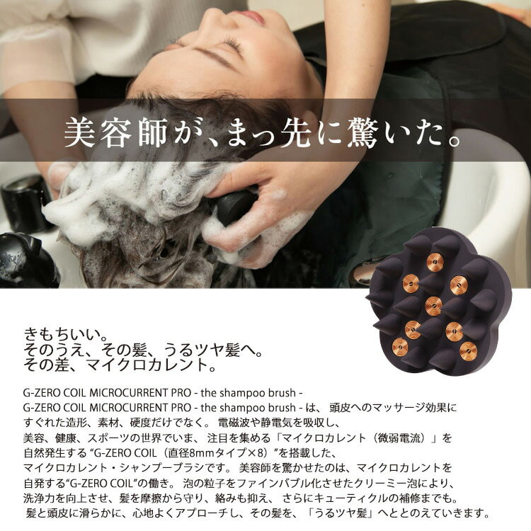 2�ĥ��åȡ�G-ZERO COIL �����ס��֥饷 �������������� �ޥ����������� �ץ� -the �����ס��֥饷 GHA-GO1