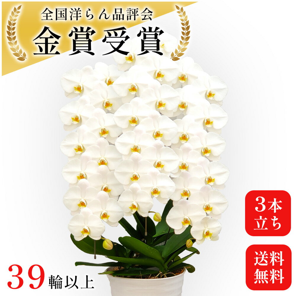 ĳΩ