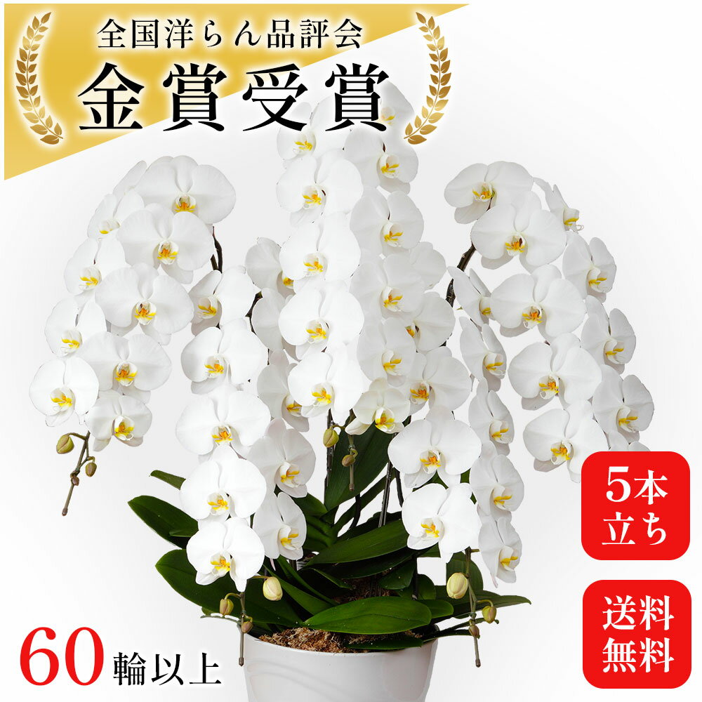 ĳΩ
