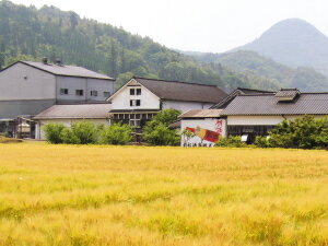 木樽熟成 芋焼酎【紅一点】原酒　720ml　本格焼酎、大分県、老松酒造(株)　誕生日などのギフトにも