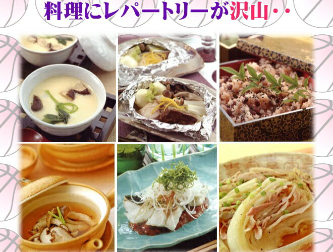 ��������2�����פ��ޤ� IH ��֥��� ������ 4.5L (8���) 200V IH�б�����fkbr-i��