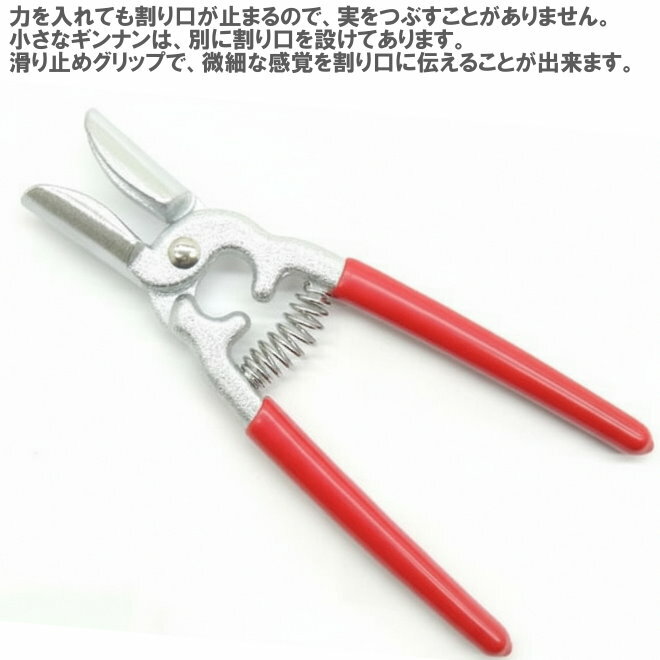 ��������� ����ʥ���� ������ �ե륵�� ����̵��