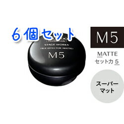 資生堂 プロフェッショナル ステージワークス トゥルーエフェクター マット MATTE M5 80g×6本セット