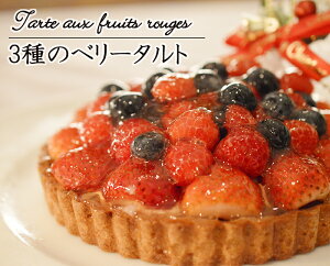 タルトのクリスマスケーキ 美味しいお取り寄せタルトのおすすめランキング わたしと 暮らし タルトのクリスマスケーキ 美味しいお取り寄せタルトのおすすめランキング わたしと 暮らし