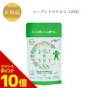 『ポイント10倍 要エントリー 期間限定』 ユーグレナのちから ユーグレナグラシリス加工食品 120粒 国内正規品 送料無料 旧ミドリムシのちから