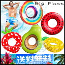 【 全国一律★送料無料 】【 2...