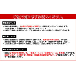 【送料無料】【レビューで6ヶ月保証】GoProHERO4バッテリー1250mAh×2個+充電キット互換品Hero4互換バッテリーゴープロHERO4大容量(純正ではありません)ヒーロー4ビデオカメラ