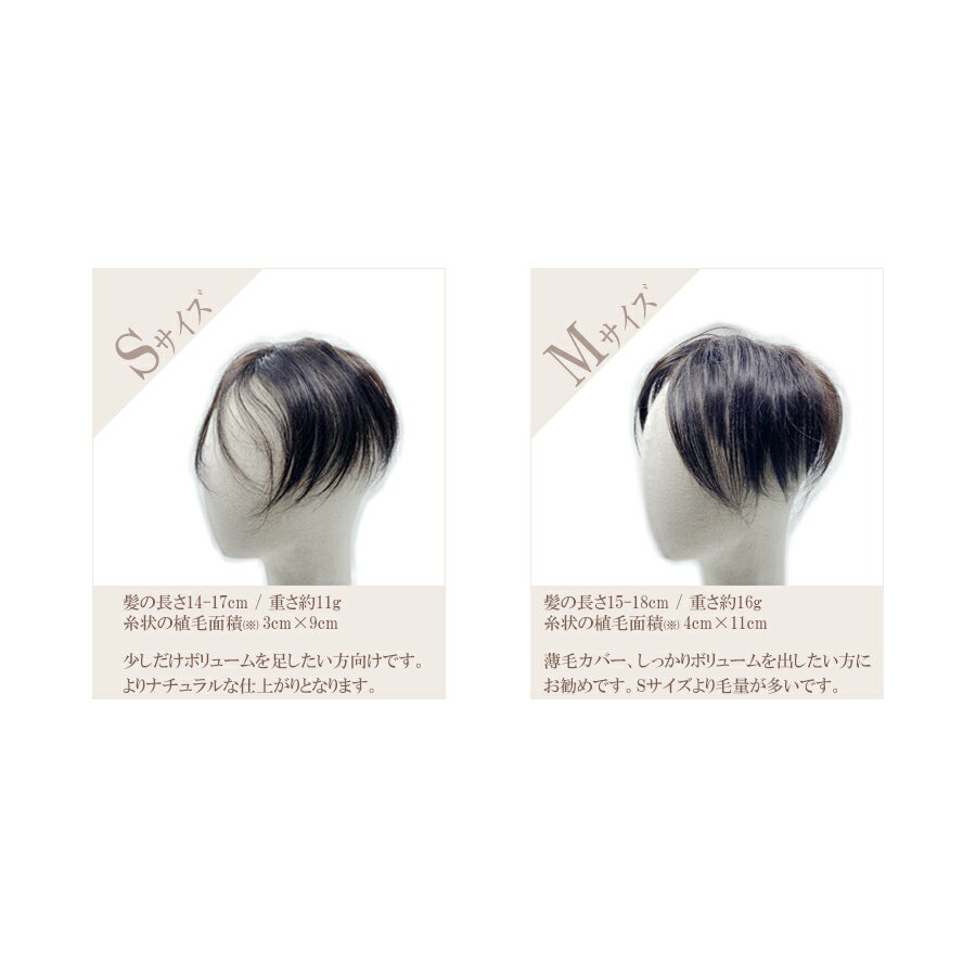 送料無料 新発売 水 汗 動きに強い アクティブ用ヘアピース Acヘアピース 人毛 100 高品質 ヘアピース 部分ウィッグ ボリュームアップ 分け目 レディース ウィッグ かつら つむじカバー 軽量 女 Szentendreibaptista Hu 送料無料 新発売 水 汗 動きに強い アクティブ用ヘアピース Acヘアピース 人毛 100 高品質 ヘアピース 部分ウィッグ ボリュームアップ 分け目 レディース ウィッグ かつら つむじカバー 軽量 女 Szentendreibaptista Hu