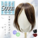 【5000円offクーポン配布中】『丁寧に仕上げたヘアピース』 部分ウィッグ ウィッグ ウイッグ 日本仕上げ 人毛100% 25cm 30cm 高品質 レディー...