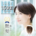 【1500円offクーポン配布中】部分ウィッグ 自然 人毛100% 日本仕上げ ウィッグ 高品質 20cm 医療用 ショート 医療用ウィッグ ヘアピース ウイッ...