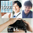 【1500円offクーポン配布中】ウィッグ メンズ 自然 高品質 人毛100% ばれない 日本仕上げ 医療用 男性用 総手植え ウイッグ かつら カツラ 医療用...
