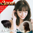 【3000円offクーポン配布中】ナチュラルウィング 部分ウィッグ 自然 高品質 ウィッグ ウイッグ 人毛100% ヘアピース 約17cm 通気性 分け目 つむ...