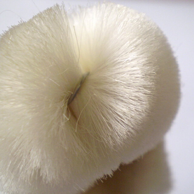 �񻺥��륯100�����������֥饷