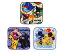 SHOBIDO ポケットモンスター ミニタオル3枚組