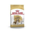 ロイヤルカナン BHN キャバリア キング チャールズ 成犬・高齢犬用 3kg