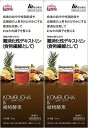 Kombucha 【2本セット】KOMBUCHA(コンブチャ)&植物酵素 720ml(機能性表示食品)