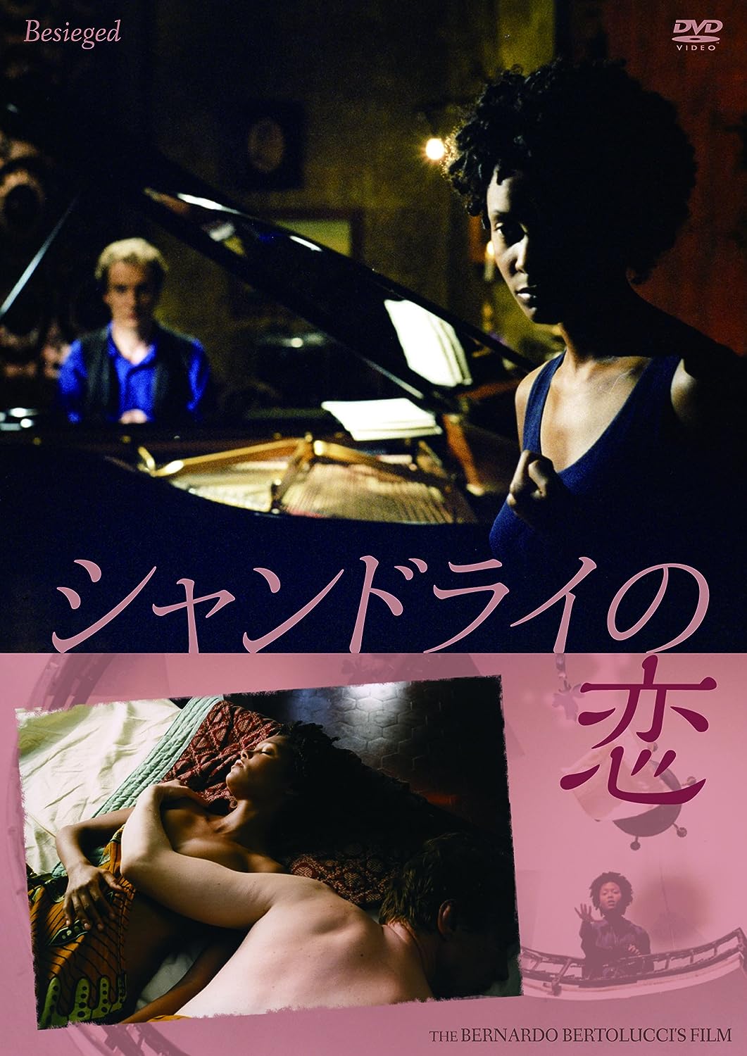 シャンドライの恋 [DVD]